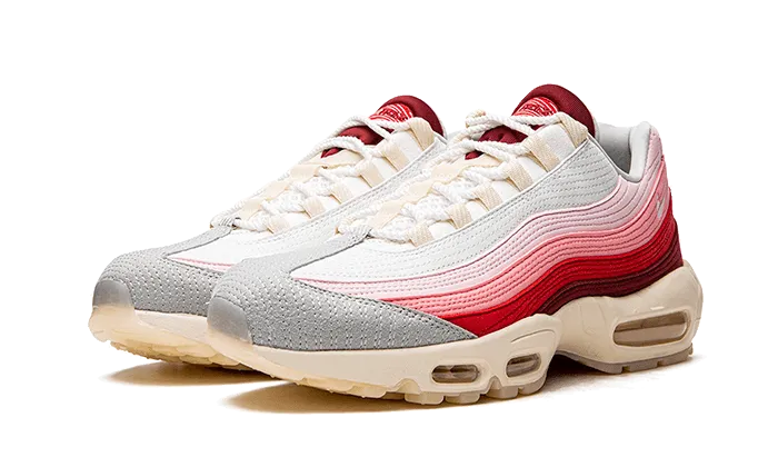 Nike Air Max 95 Air Max Anatomy