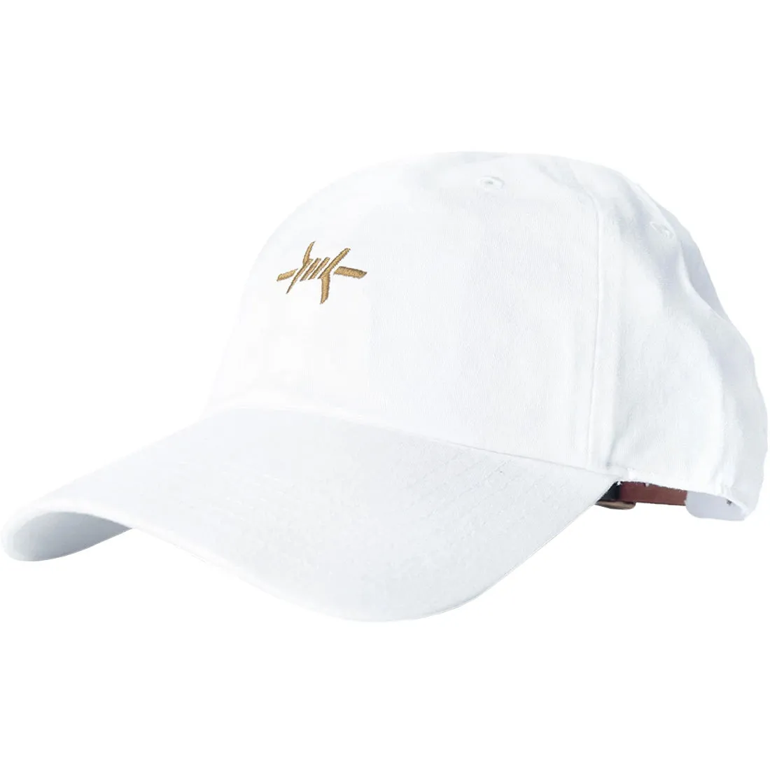 Texas Standard Cap